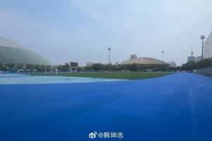 天津奥体中心外场更换草皮跑道,记者:这是津门虎惦记的